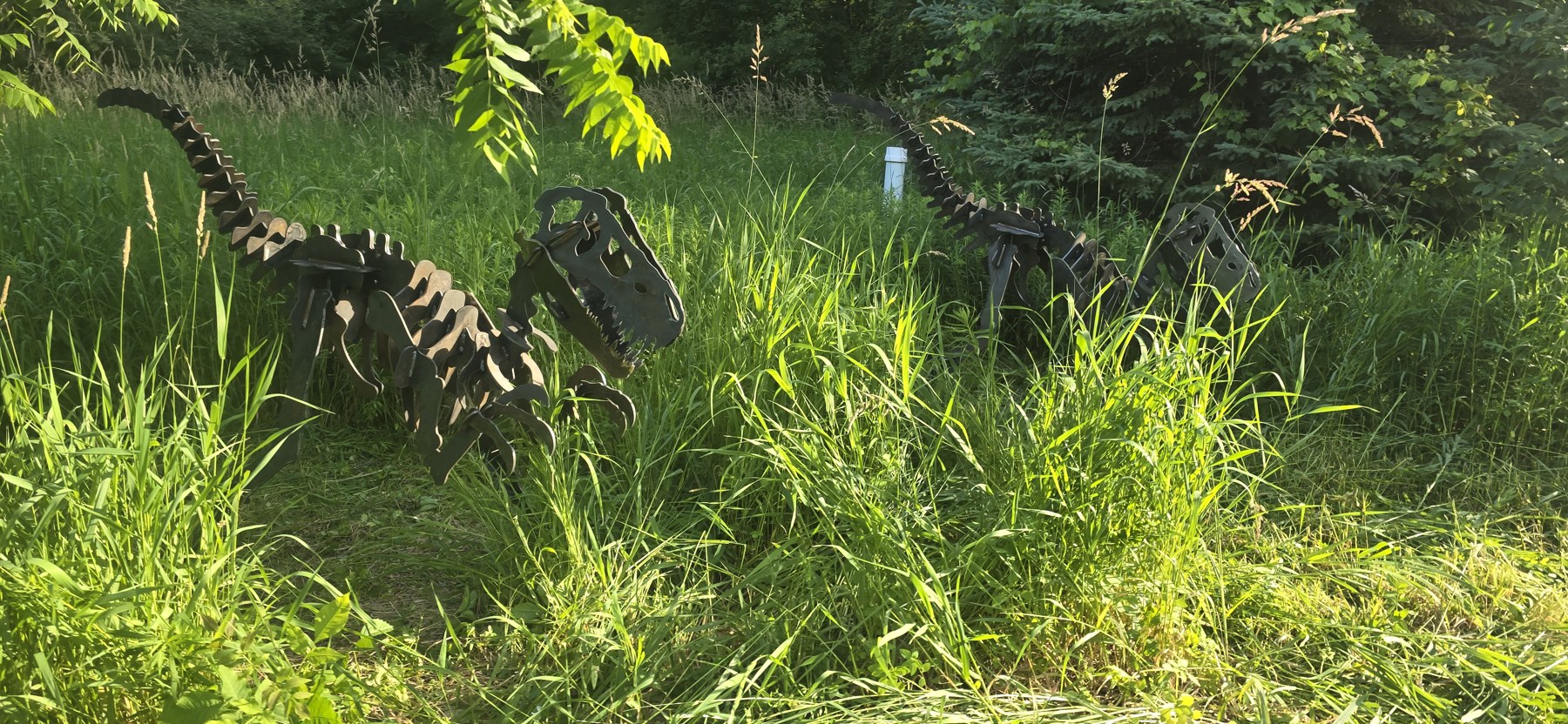 Dinosaurs among the tall grass