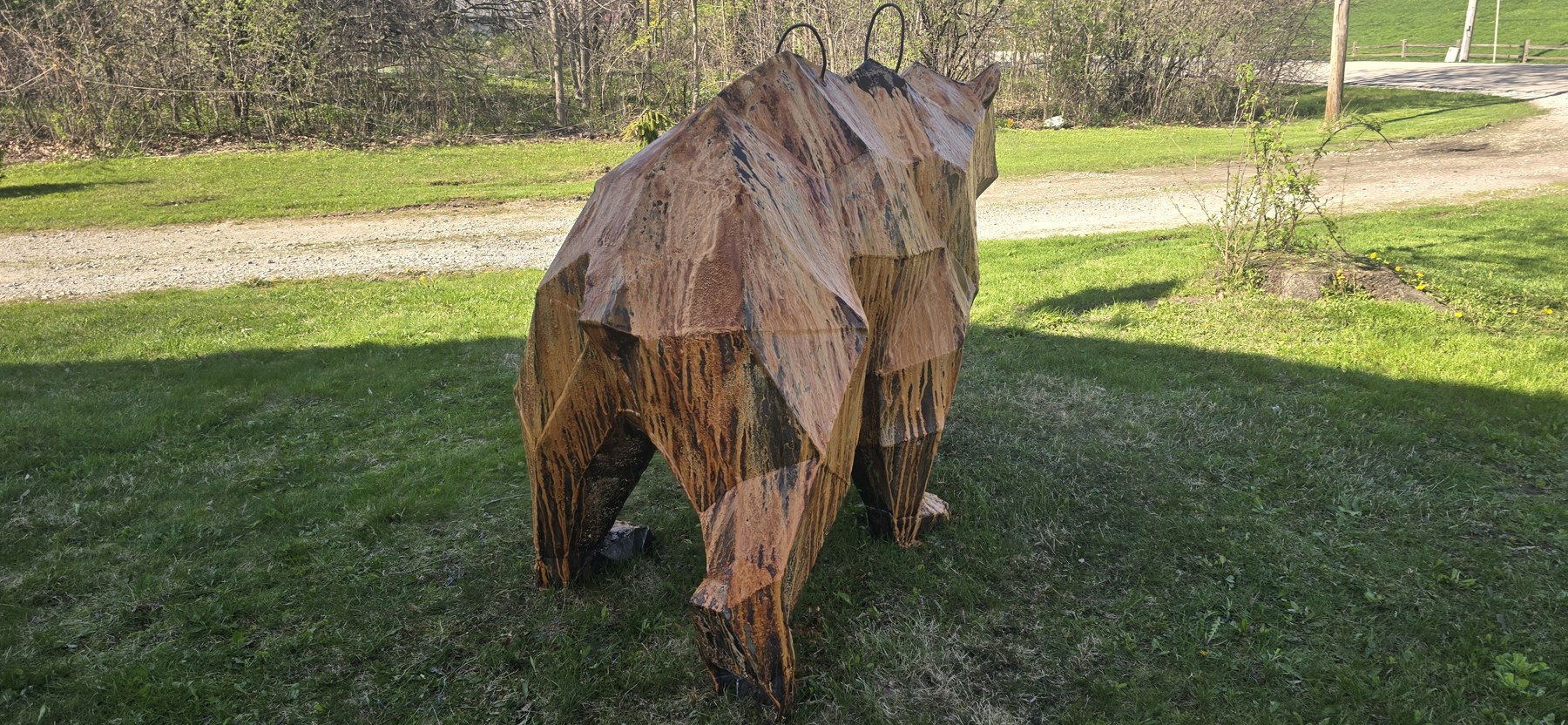 Grizzly Bear from behind