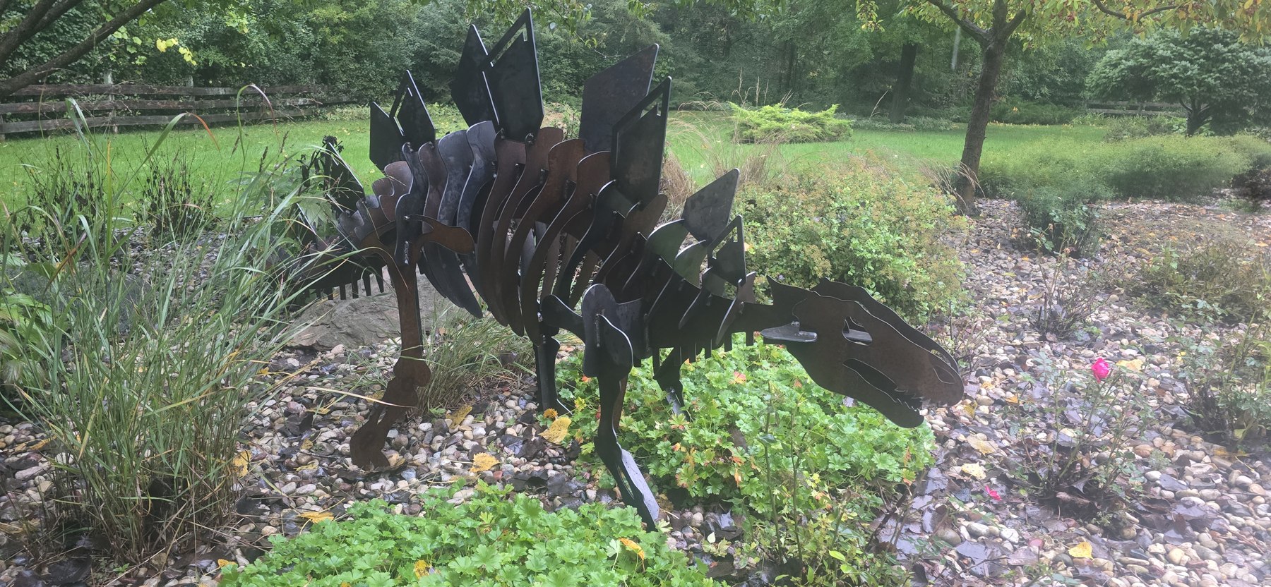 Stegosaurus in the garden